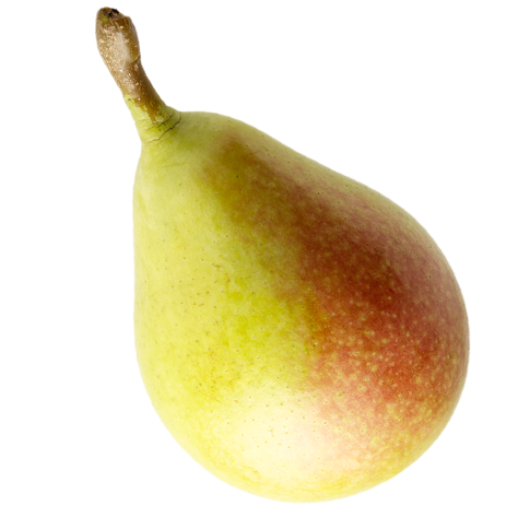 pear-image